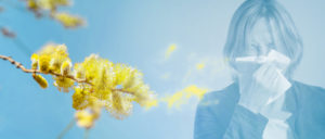 pollen and woman sneezing into tissue